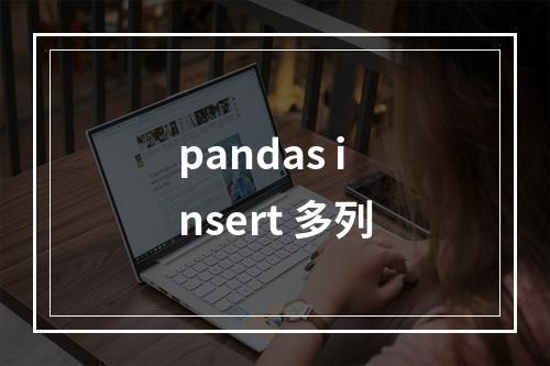pandas insert 多列