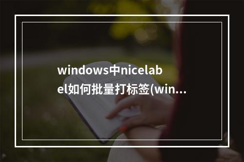 windows中nicelabel如何批量打标签(windows windows)(nicelabel怎么批量打标签)