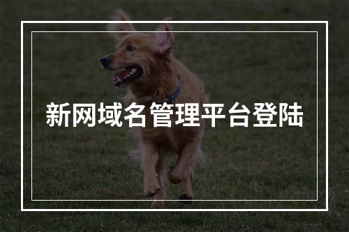 新网域名管理平台登陆
