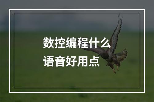 数控编程什么语音好用点