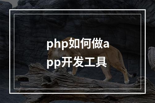php如何做app开发工具