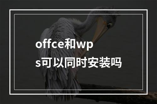 offce和wps可以同时安装吗