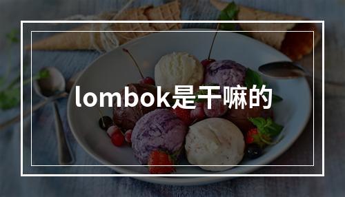 lombok是干嘛的