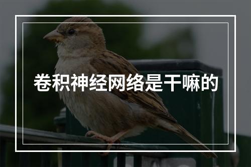 卷积神经网络是干嘛的