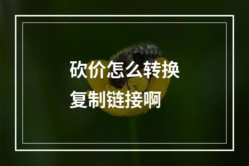 砍价怎么转换复制链接啊