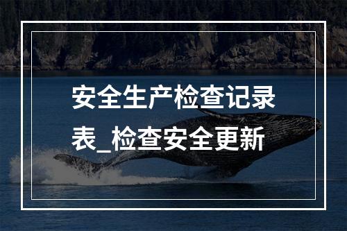安全生产检查记录表_检查安全更新