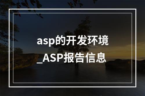 asp的开发环境_ASP报告信息