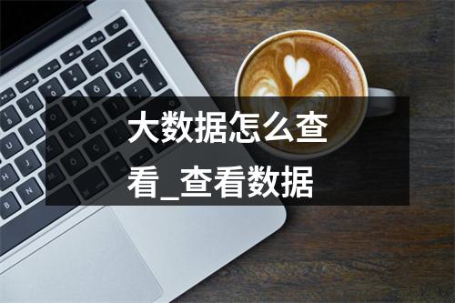 大数据怎么查看_查看数据