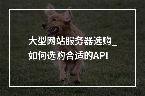 大型网站服务器选购_如何选购合适的API