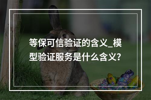 等保可信验证的含义_模型验证服务是什么含义?