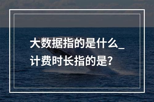 大数据指的是什么_计费时长指的是?