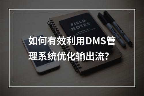 如何有效利用DMS管理系统优化输出流?