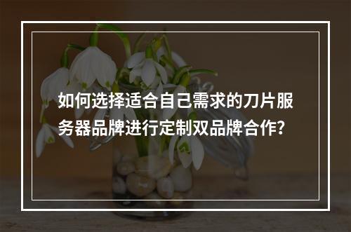 如何选择适合自己需求的刀片服务器品牌进行定制双品牌合作?
