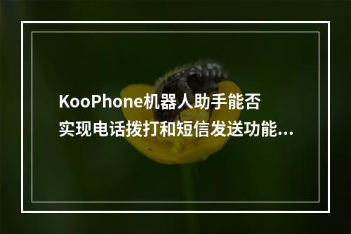 KooPhone机器人助手能否实现电话拨打和短信发送功能?