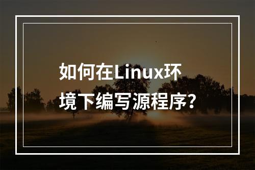如何在Linux环境下编写源程序?