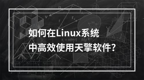 如何在Linux系统中高效使用天擎软件?