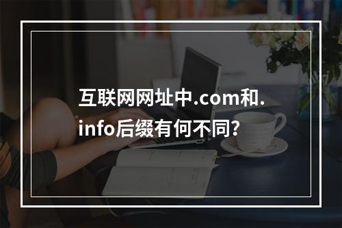 互联网网址中.com和.info后缀有何不同?