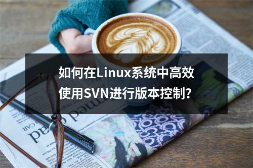 如何在Linux系统中高效使用SVN进行版本控制?