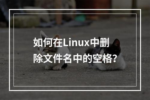 如何在Linux中删除文件名中的空格?