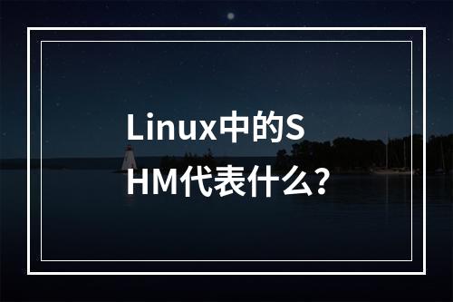 Linux中的SHM代表什么?