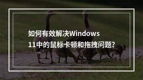 如何有效解决Windows 11中的鼠标卡顿和拖拽问题?