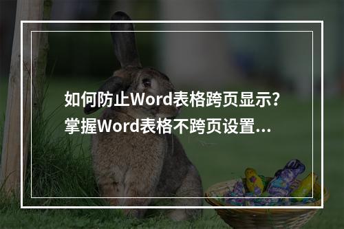 如何防止Word表格跨页显示?掌握Word表格不跨页设置技巧