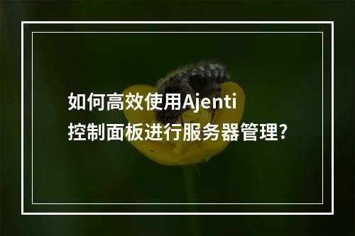 如何高效使用Ajenti控制面板进行服务器管理?