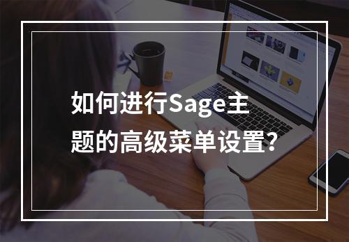 如何进行Sage主题的高级菜单设置?