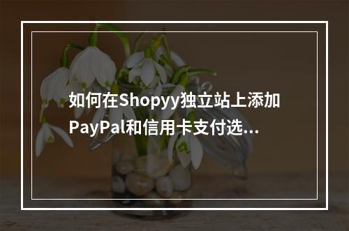 如何在Shopyy独立站上添加PayPal和信用卡支付选项?