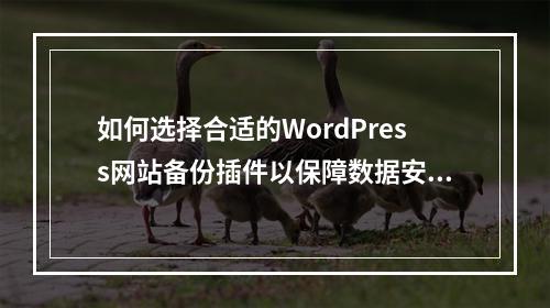 如何选择合适的WordPress网站备份插件以保障数据安全?