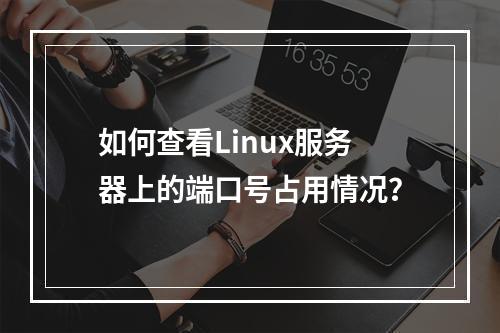 如何查看Linux服务器上的端口号占用情况?