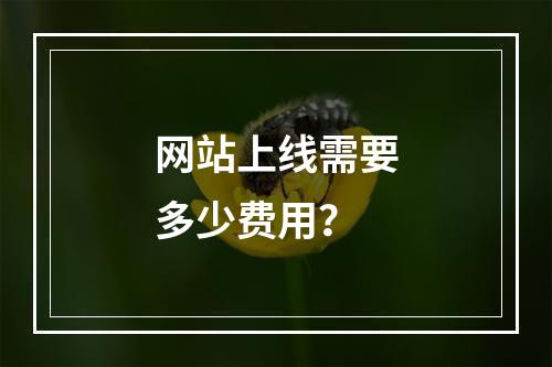 网站上线需要多少费用?