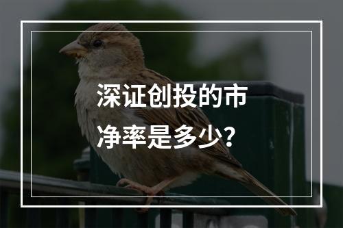 深证创投的市净率是多少?
