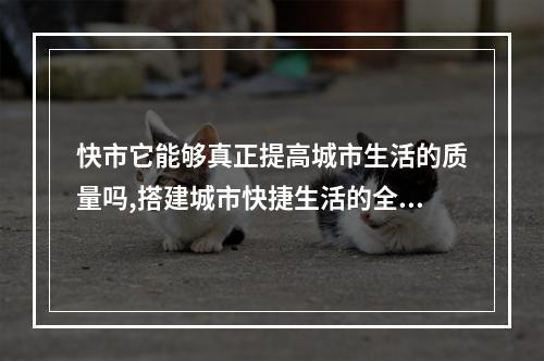 快市它能够真正提高城市生活的质量吗,搭建城市快捷生活的全新平台