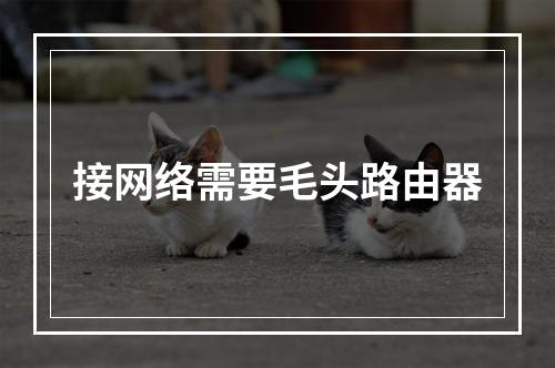 接网络需要毛头路由器