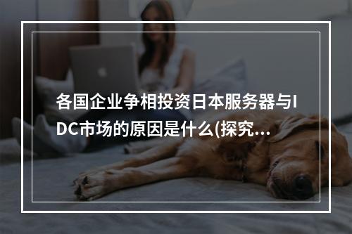 各国企业争相投资日本服务器与IDC市场的原因是什么(探究日本服务器与IDC市场吸引全球企业投资的原因)