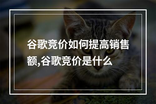 谷歌竞价如何提高销售额,谷歌竞价是什么