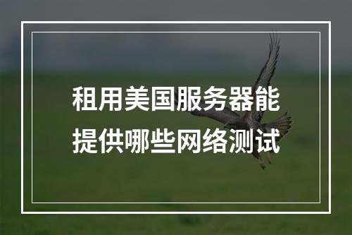 租用美国服务器能提供哪些网络测试