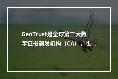 GeoTrust是全球第二大数字证书颁发机构(CA),也是身份认证和信任认证领域的领导者,致力于为各种规模的企业提供性价比高的SSL证书服务,现属于DigiCe