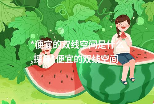 *便宜的双线空间是什么,探寻*便宜的双线空间