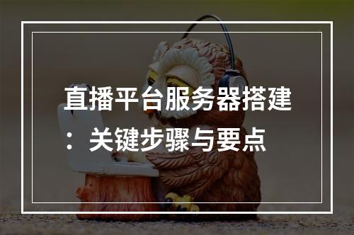 直播平台服务器搭建:关键步骤与要点
