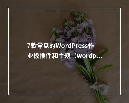 7款常见的WordPress作业板插件和主题(wordpress写作工具)
