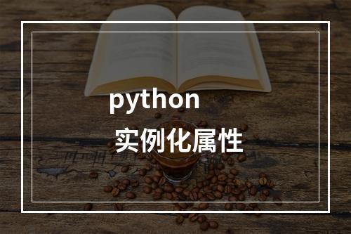 python 实例化属性