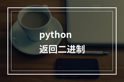 python返回二进制