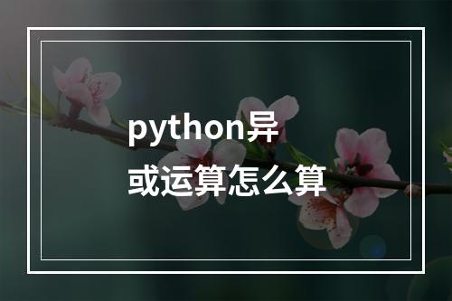 python异或运算怎么算