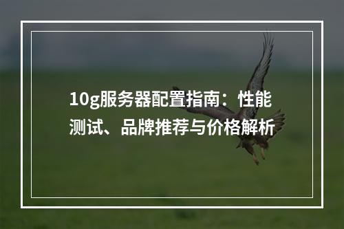 10g服务器配置指南：性能测试、品牌推荐与价格解析