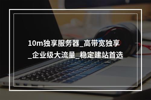 10m独享服务器_高带宽独享_企业级大流量_稳定建站首选