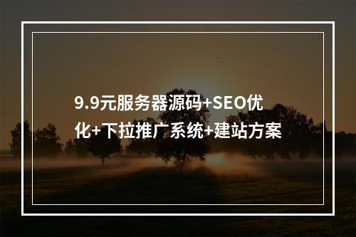 9.9元服务器源码+SEO优化+下拉推广系统+建站方案