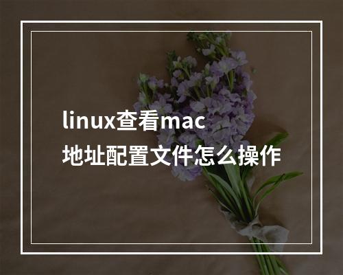 linux查看mac地址配置文件怎么操作