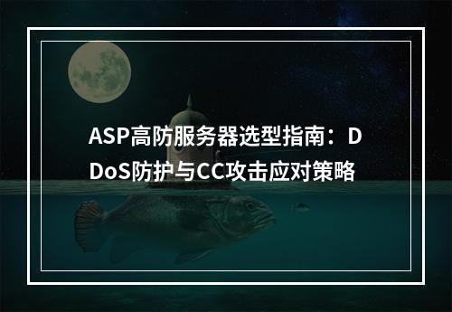 ASP高防服务器选型指南：DDoS防护与CC攻击应对策略